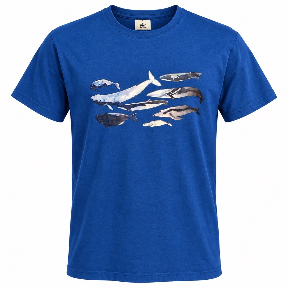 B&C Collection Whale Graphic Tee 100% Cotton XS Blue Marine Life Shirt